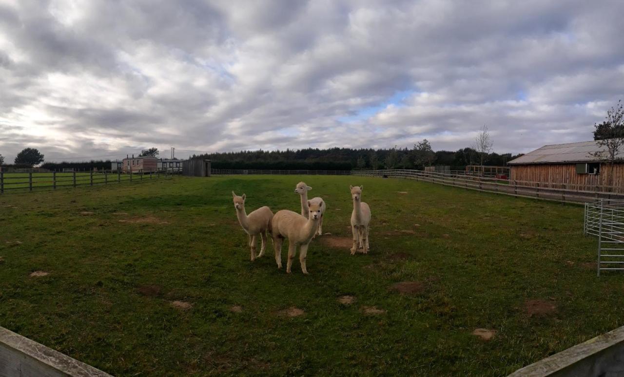 Holiday home Springwood Shepherd Huts Glamping York